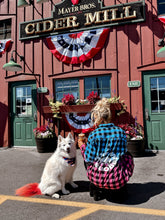 Load image into Gallery viewer, Ombré OG flannel
