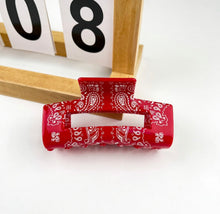Load image into Gallery viewer, Paisley hair clip
