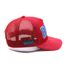 Load image into Gallery viewer, Velour Leveled Up trucker hat
