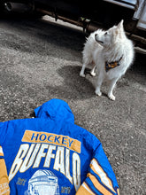 Load image into Gallery viewer, LU Buffalo hockey track jacket
